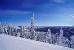 Resort Spotlight: Whitefish Mountain - Montana's Terrain-Rich Alternative to the Rockies